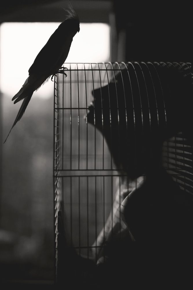 Photograph by Саша Парасич