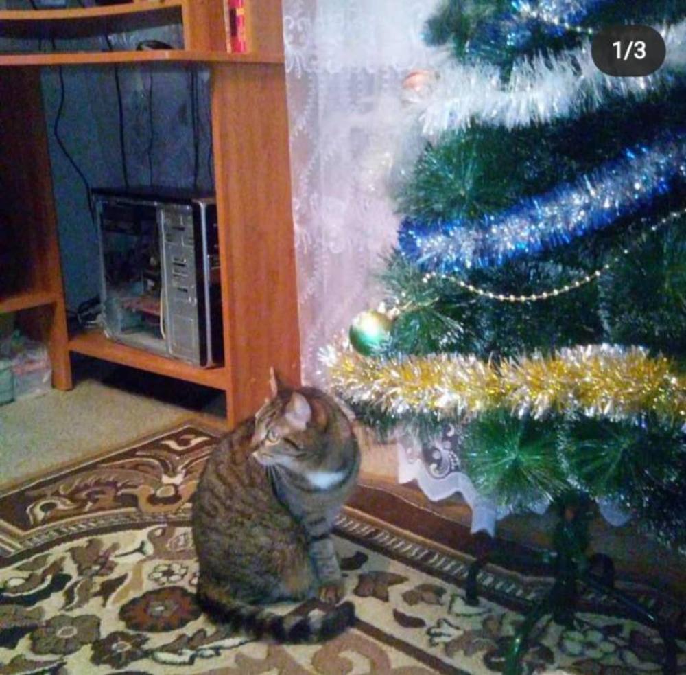 Photograph by Рустем Абубакиров