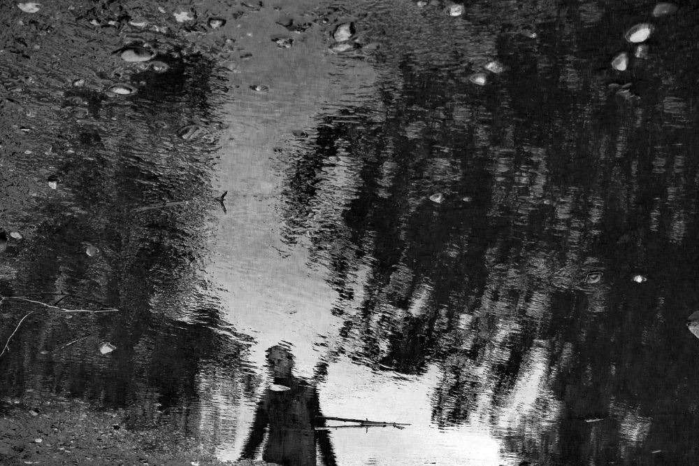 Photograph by Щербакова Галина