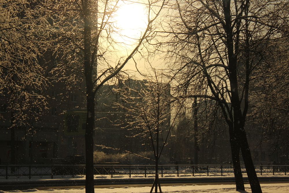 Photograph by Алина Безбородова