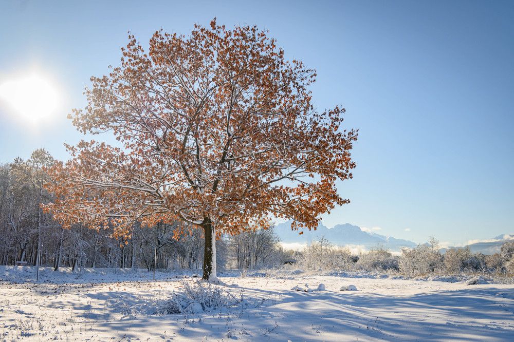 Фотография автора Оксана Белозерская