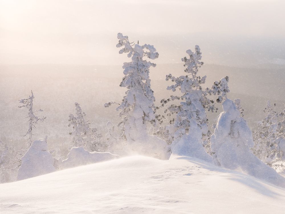 ...Солнечная метель...