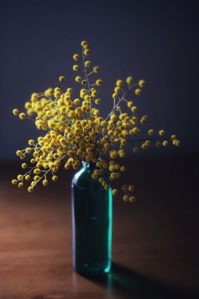 Photograph by Marian Lázaro