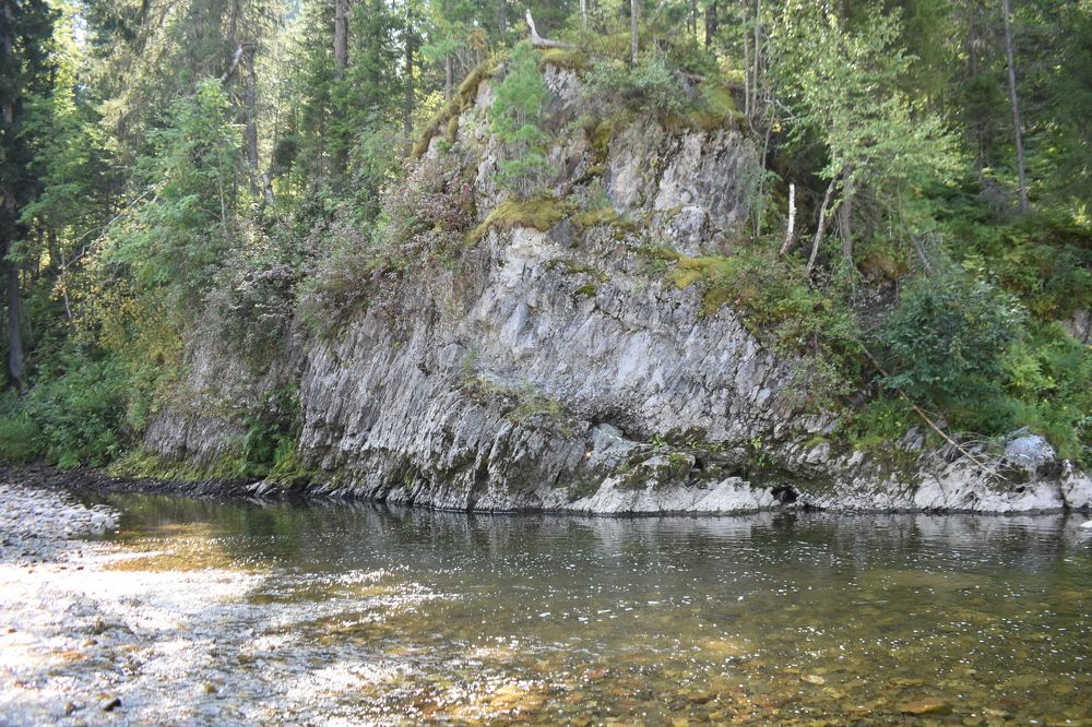 Photograph by Александр Прядко