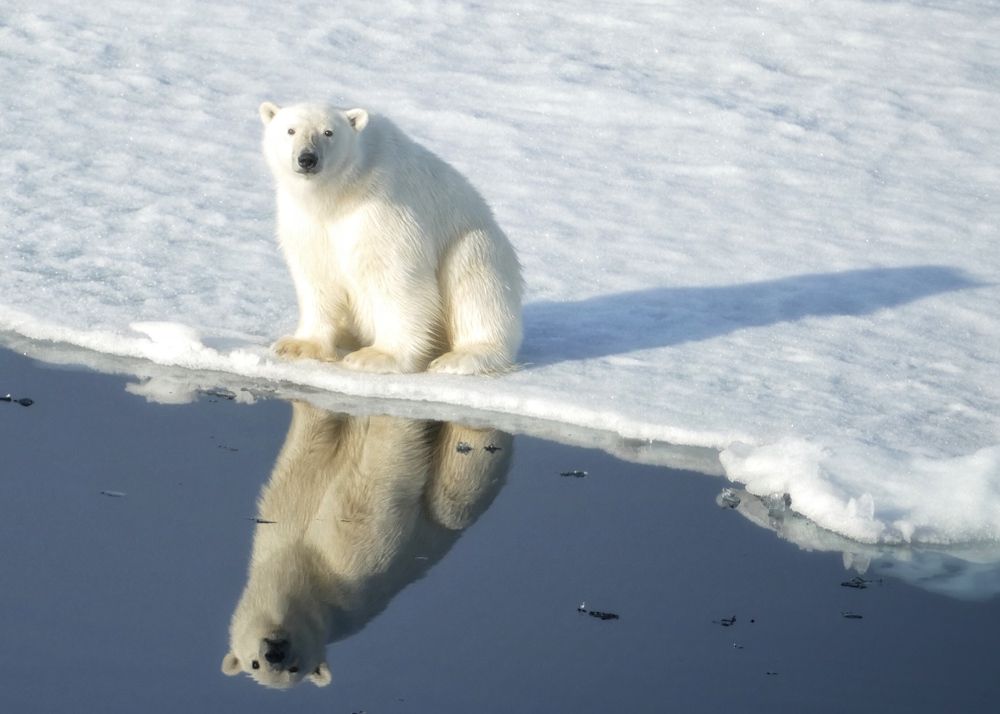 Photograph by Tatyana