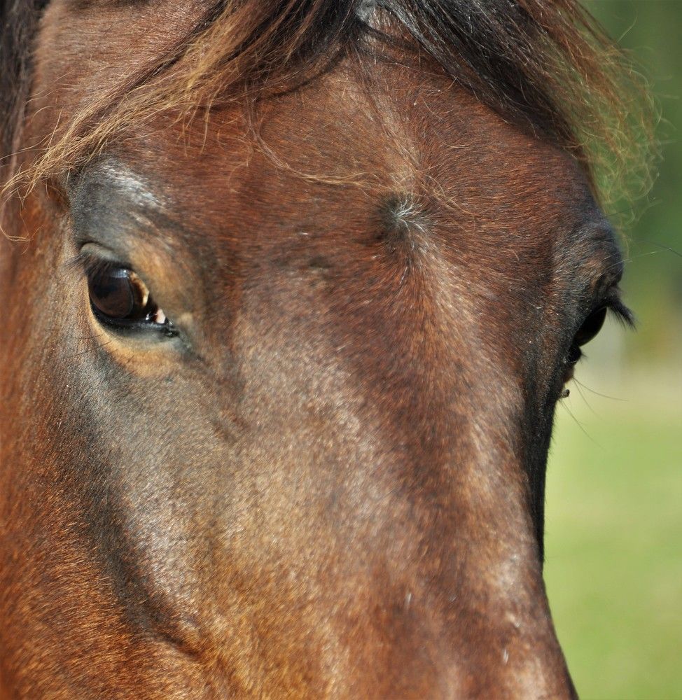 Photograph by Андрей Телибаев