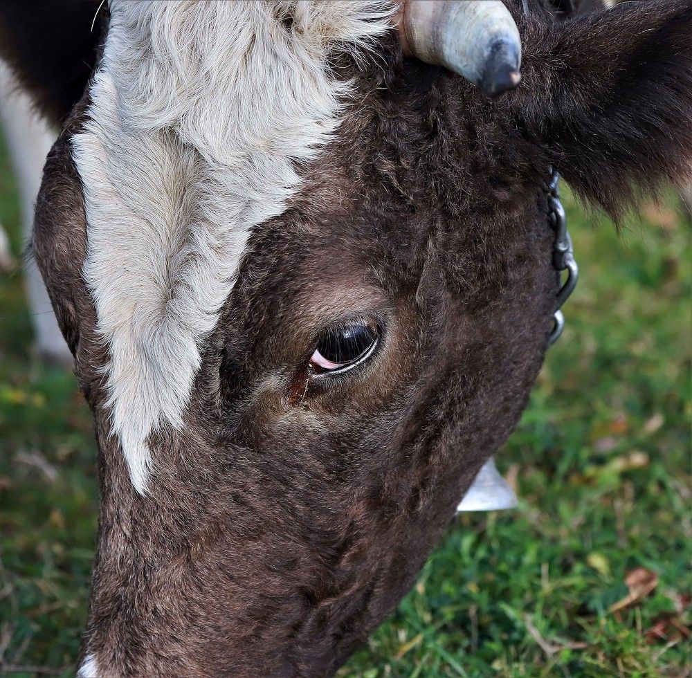 Photograph by Андрей Телибаев