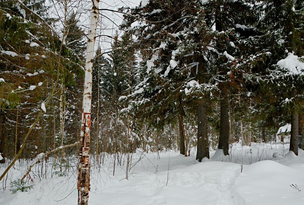 Photograph by Алексей Епишин