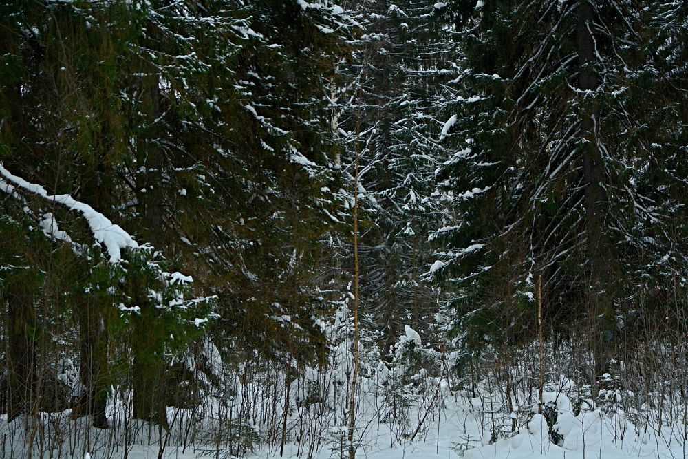 Photograph by Алексей Епишин