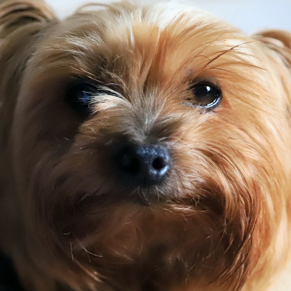 Photograph by Андрей Телибаев