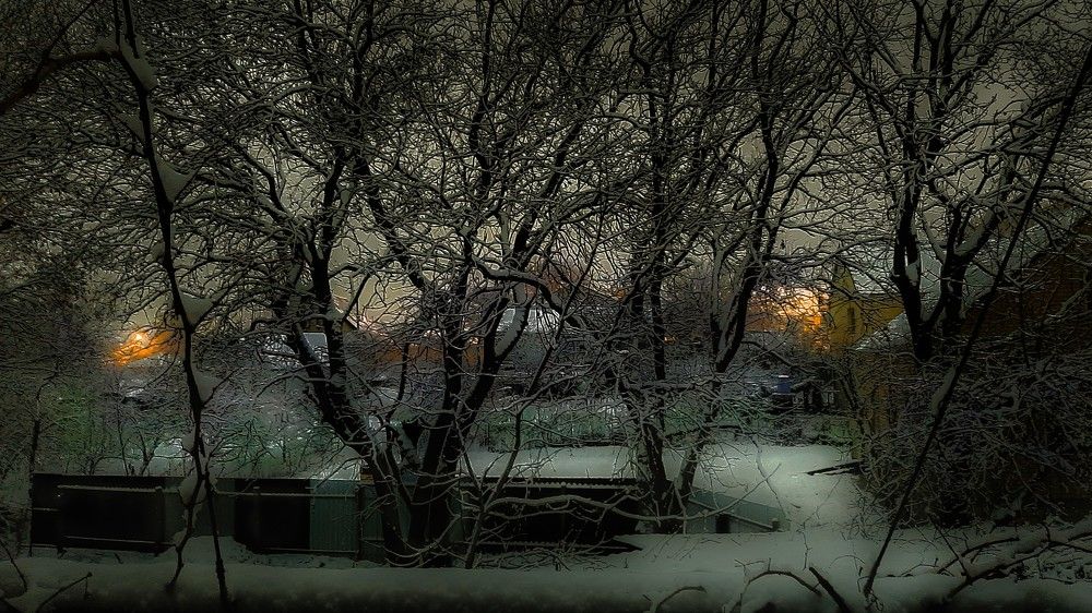 Photograph by Леонид Борисенко