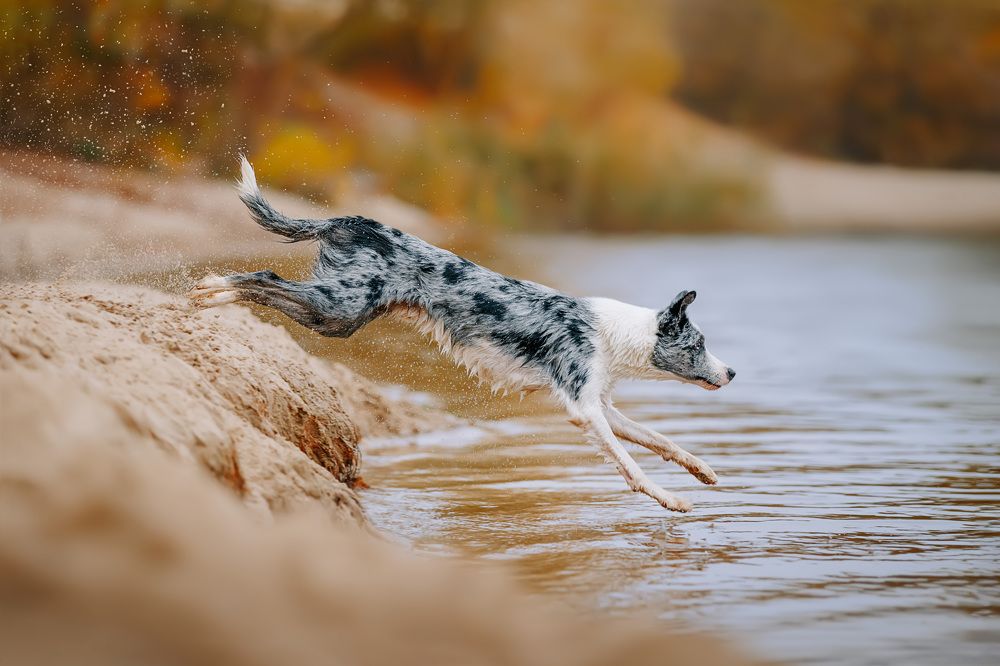 Photograph by Марина Плевако