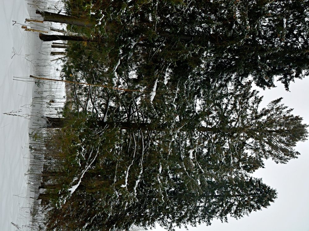 Photograph by Алексей Епишин