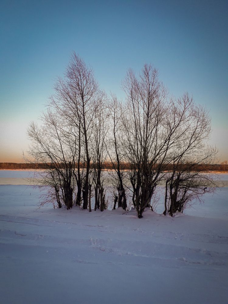 Photo #5712135