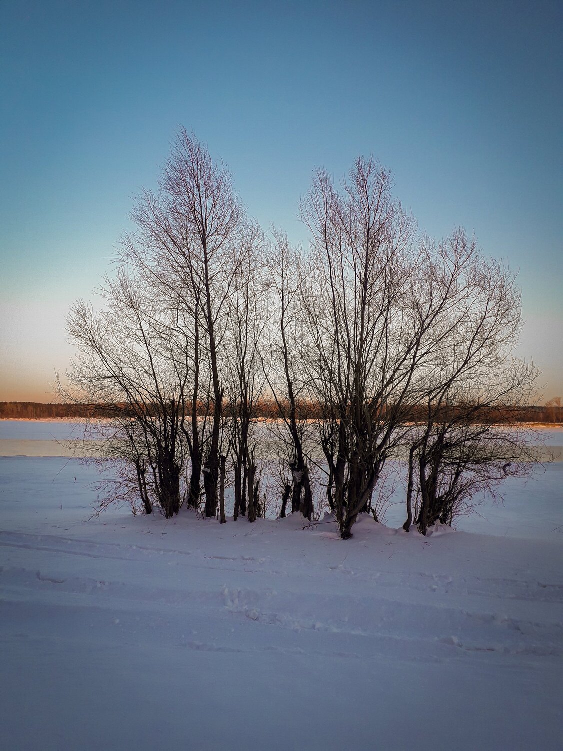 Photo #5712135