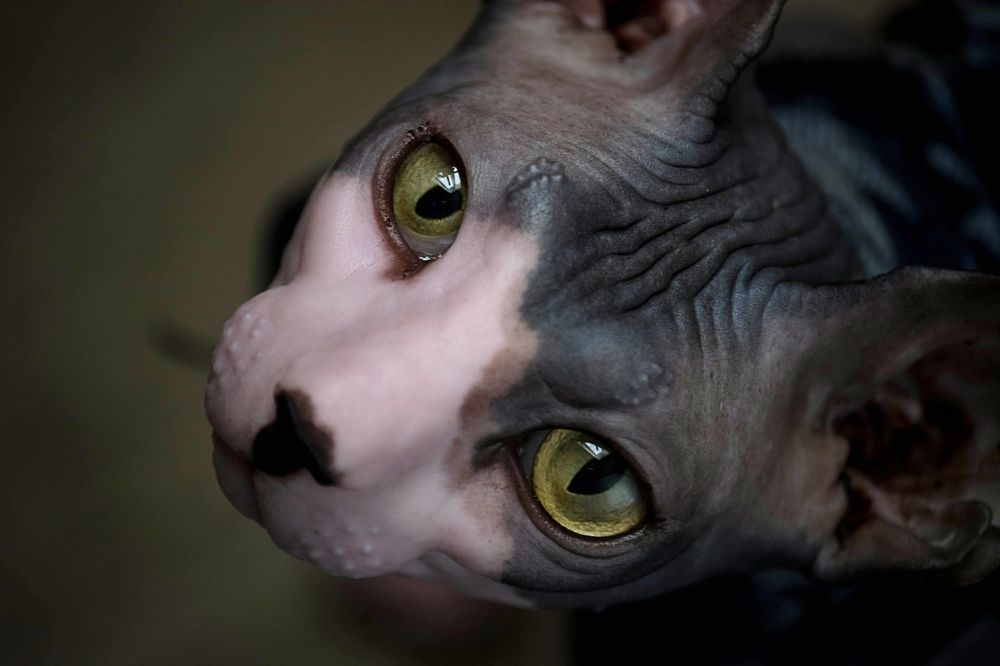 Photograph by Елена Плотникова