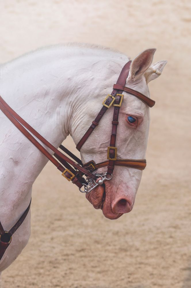 Photograph by Ana Marta Loura