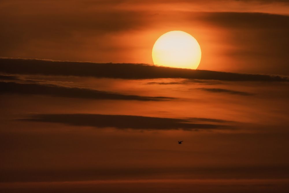 Photograph by Евгений Антонов