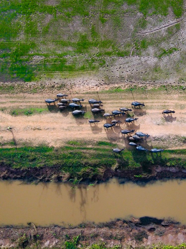 Photograph by Vyra Chentra