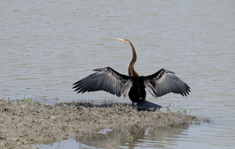 Photograph by Samsul Huda Patgiri