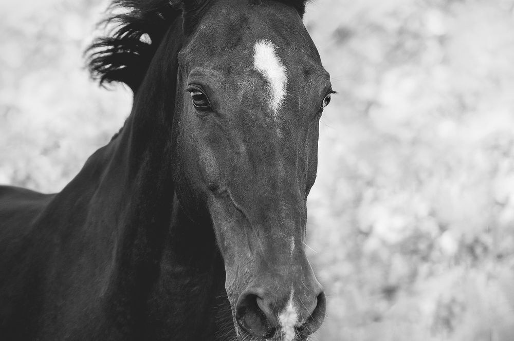 Photograph by Ana Marta Loura