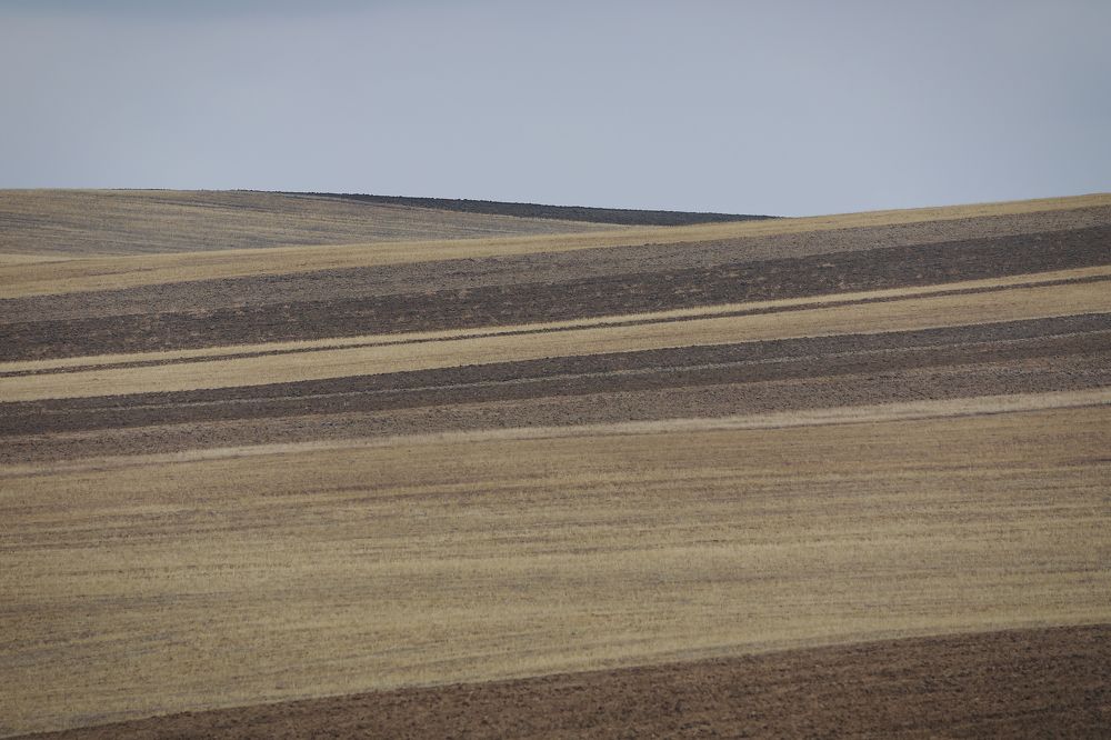 Photograph by Aleksandr Karyagin