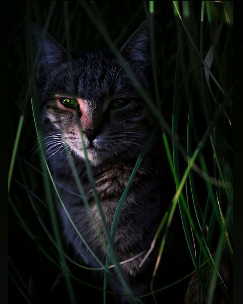 Photograph by Masoudi Hanie