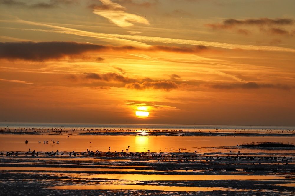 Photograph by Justyna Jarno