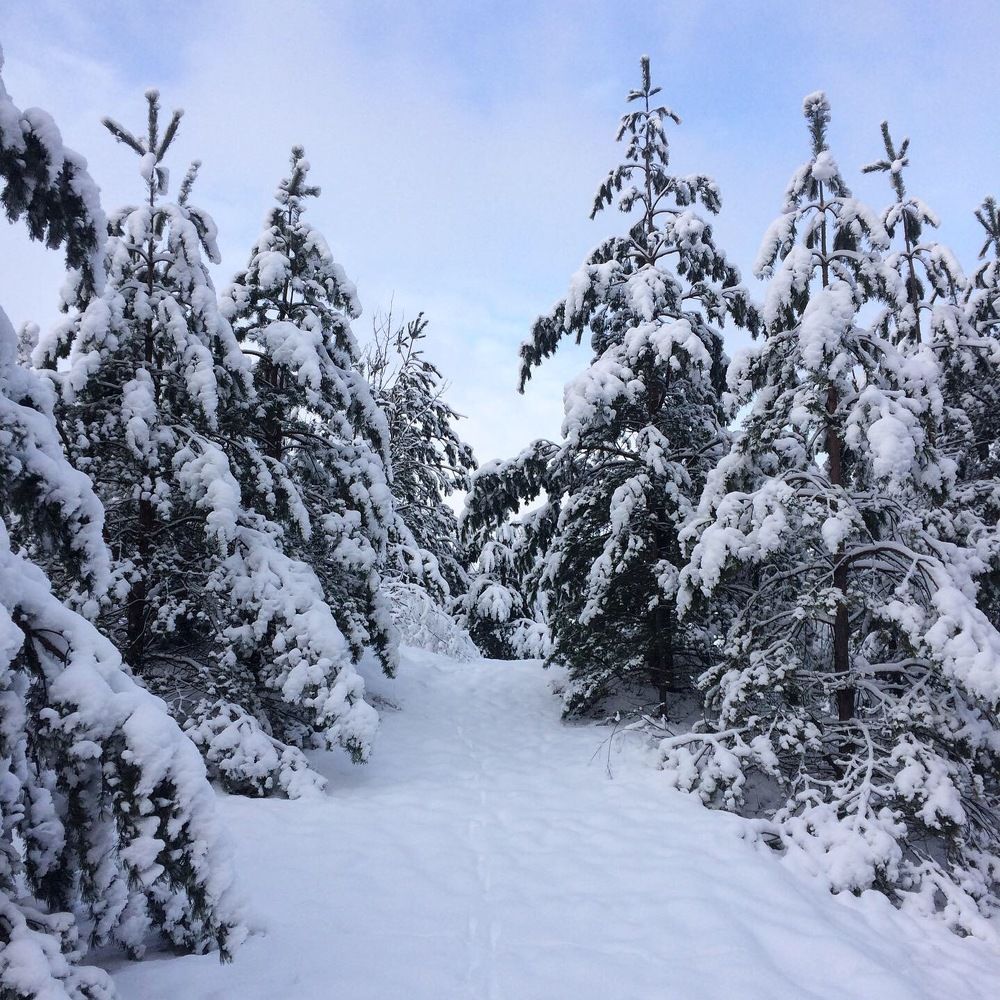 Photograph by Александр