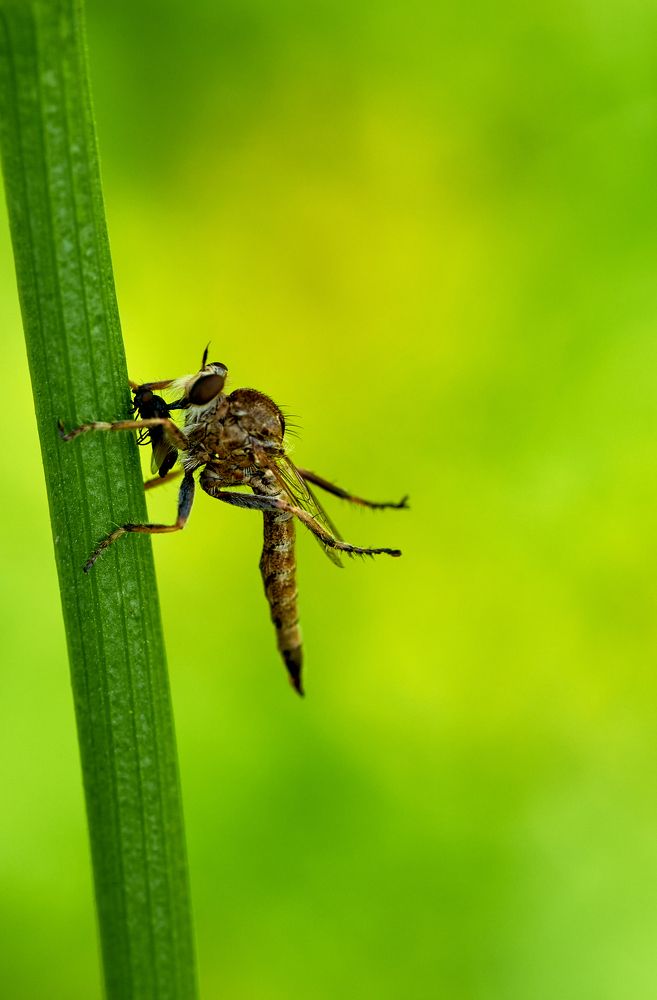 Фотография автора Святослав Романяк