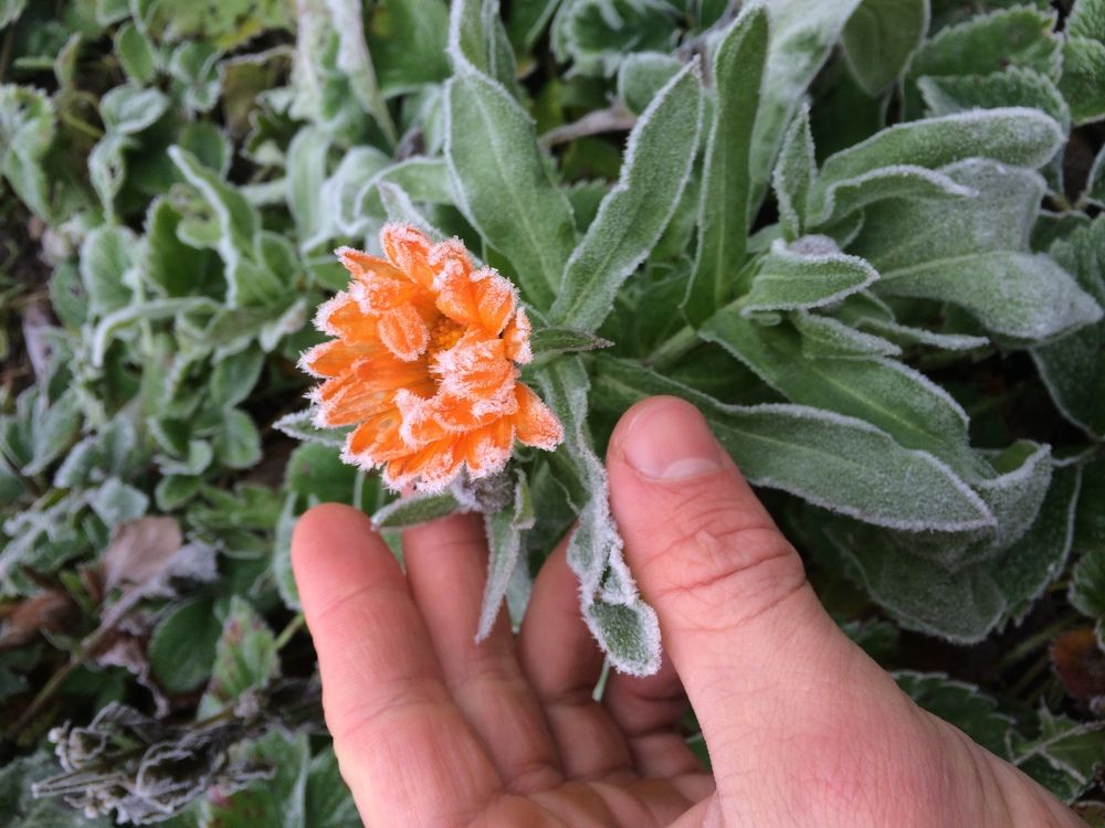 Photograph by Александр