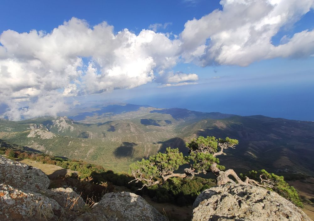 Photograph by Оксана Монахова