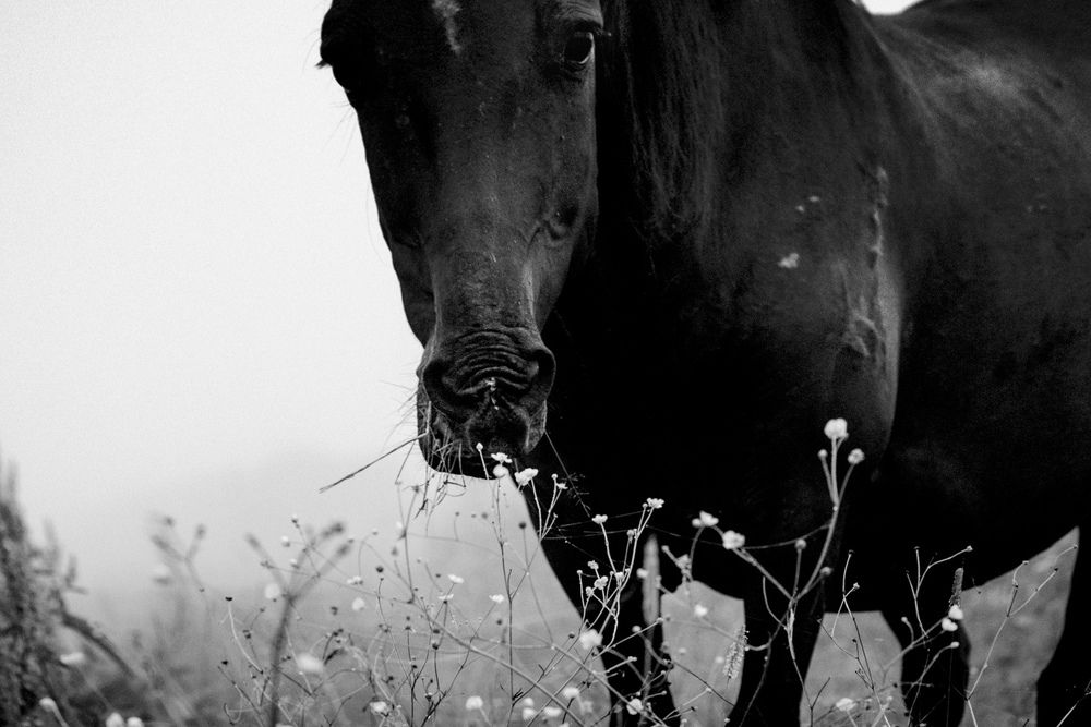 Photograph by Альбина Хакимова