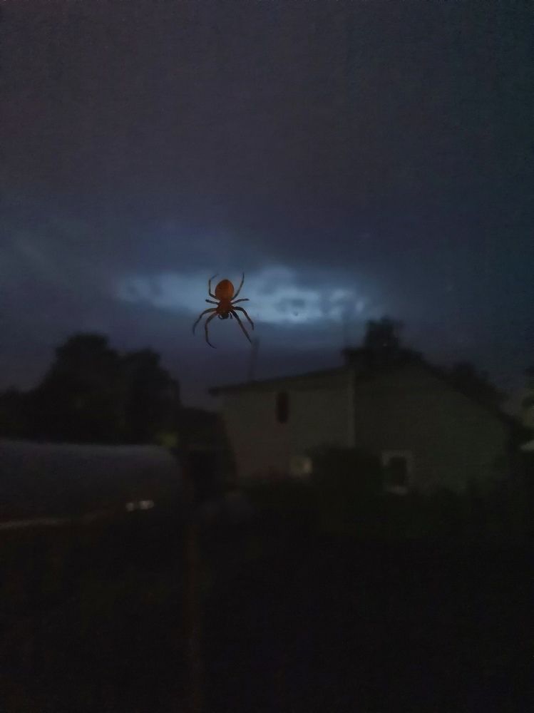 Photograph by Мария Григорьева