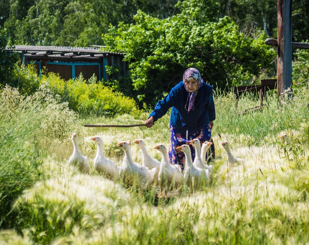 Photograph by Анастасия Шарапова