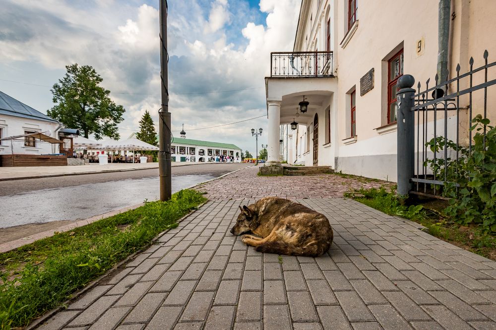 Photograph by Михаил Смирнов