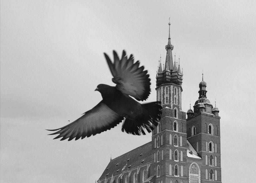 Photograph by Palina Mikhailouskaya