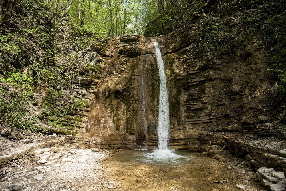 Фотография автора Алексей Самойлов