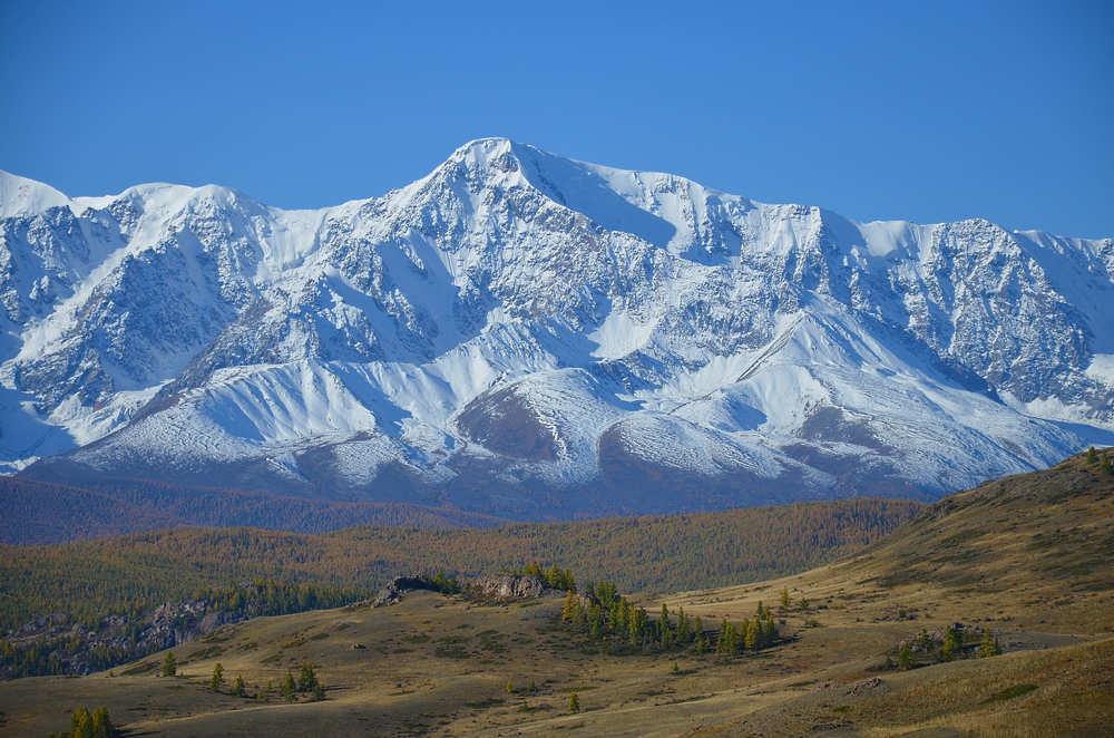 Зима спускается / Winter is coming down