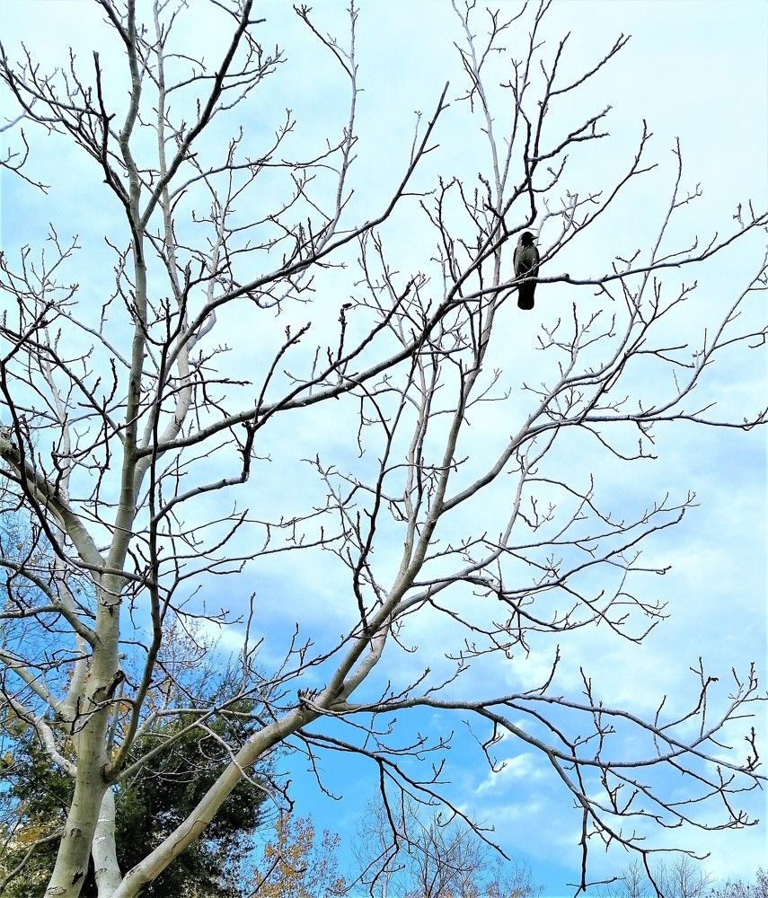 Photograph by Marina Eremin