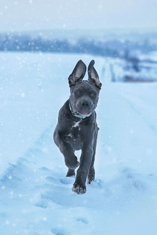 Photograph by Оксана Сироштан