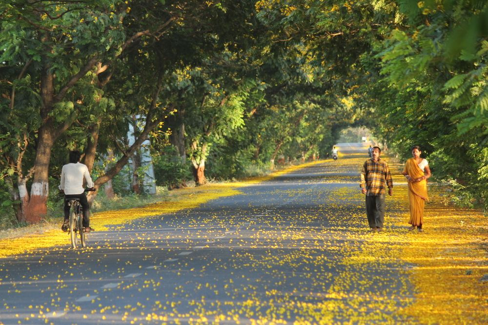 Photograph by Sharad vadoliya