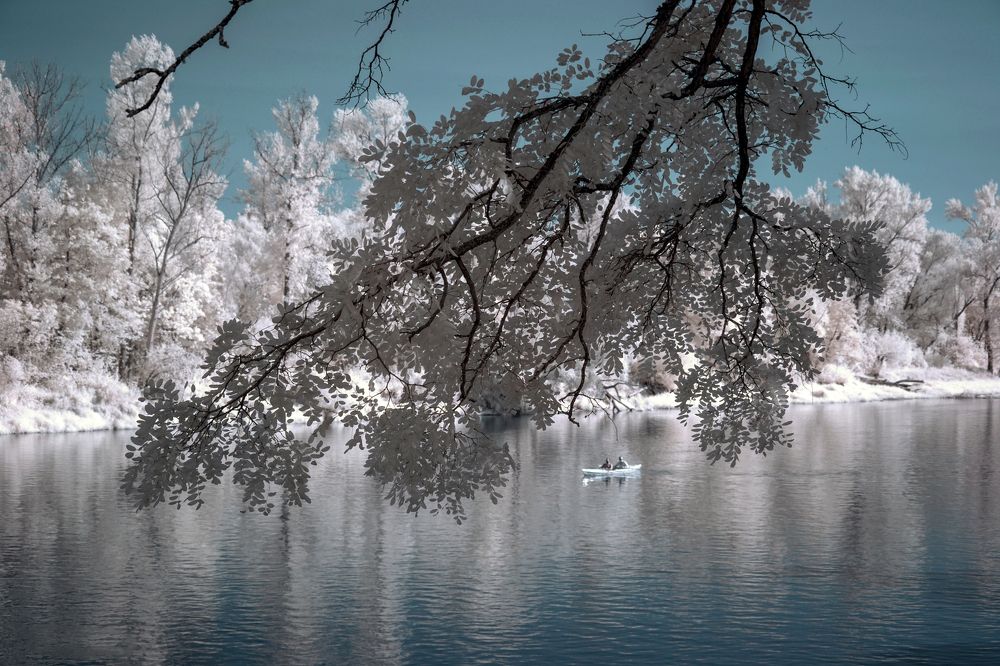 Photograph by Robert Oldakowski