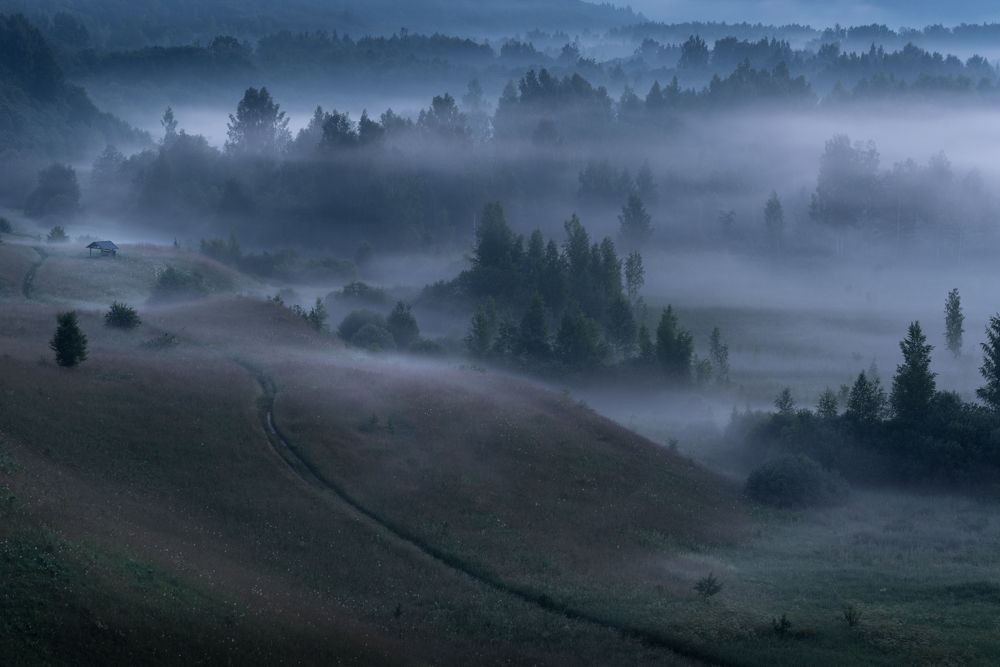 Photograph by Роман Фабричный