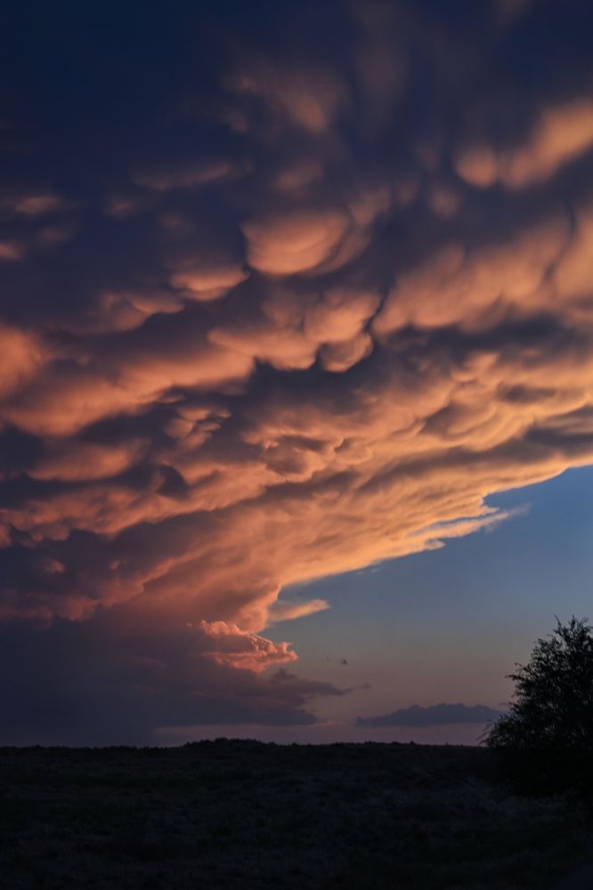 Photograph by Виктория Шумай