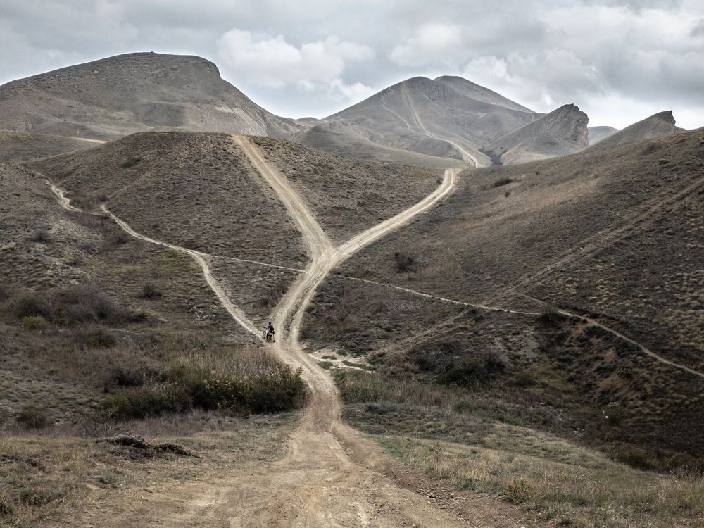 Photograph by Дмитрий Жуков