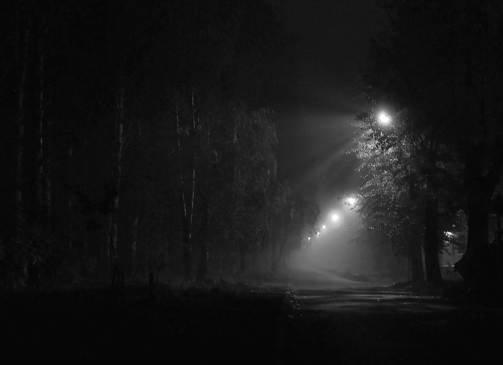 Окутаны туманом