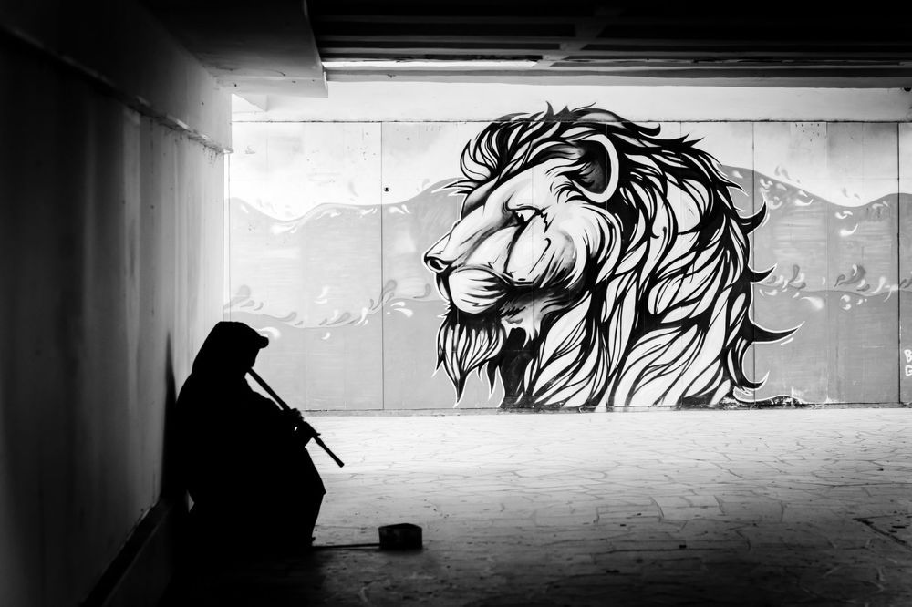 Photograph by Евгения Максименко