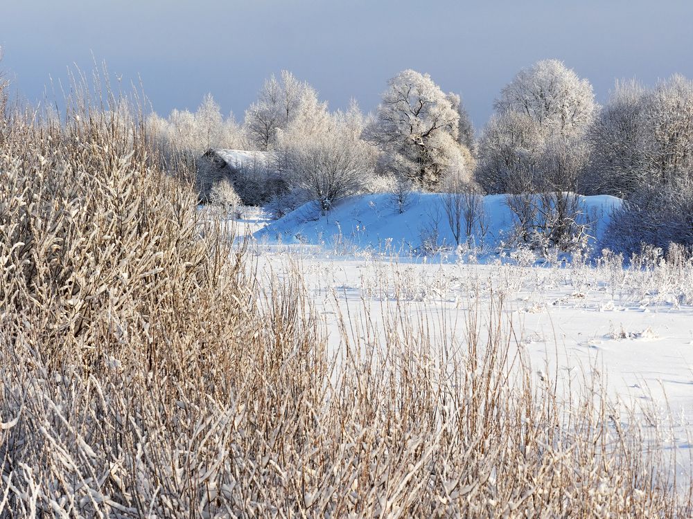 Photograph by Алексей Горшенин