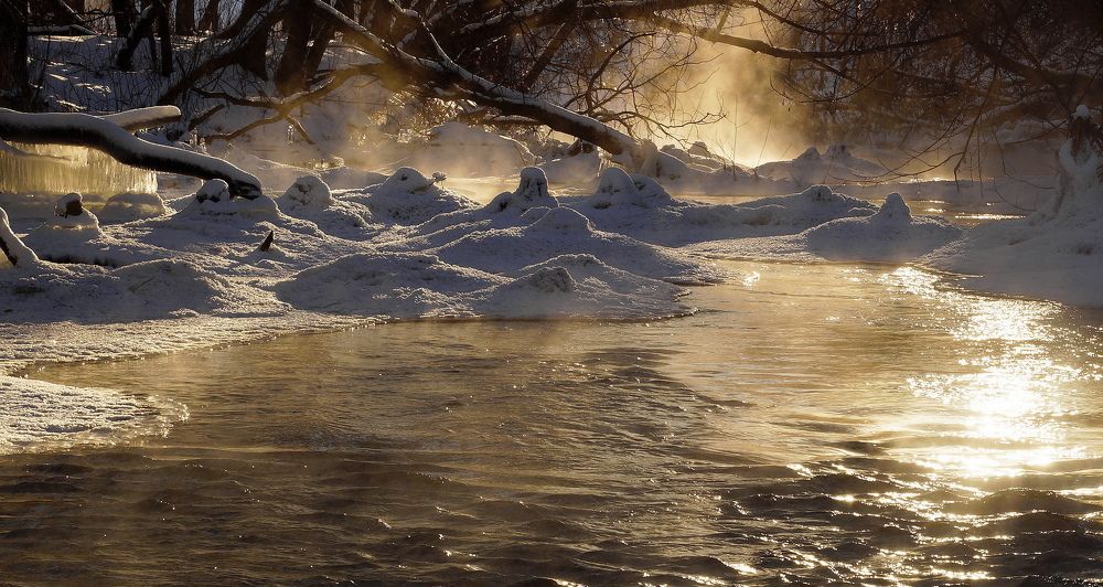 Photograph by виктор ястребов